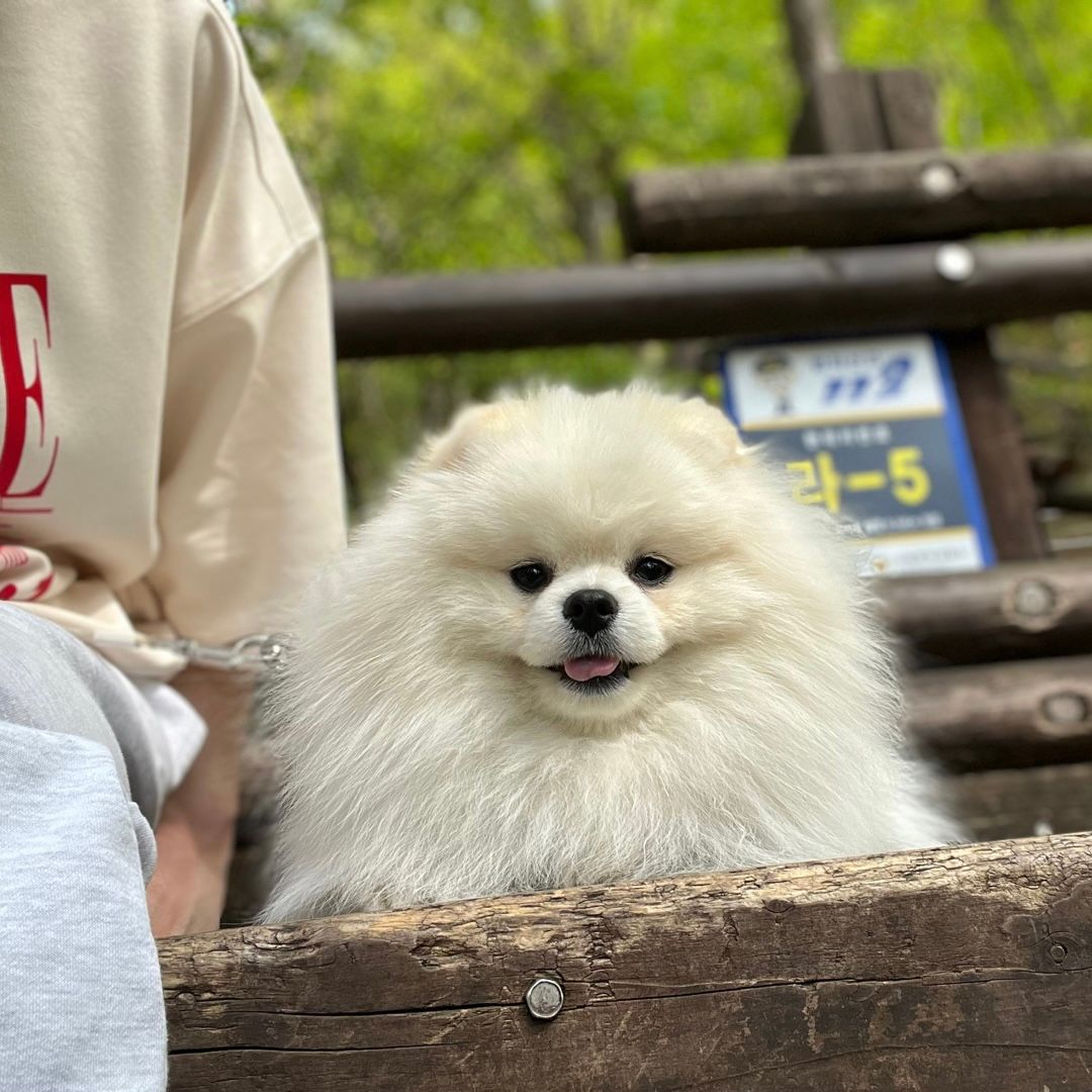 흩모교 산행모임 두번째이야기입니다^^
