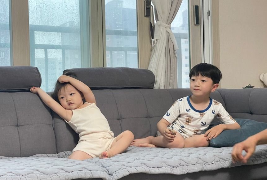 케어 셀