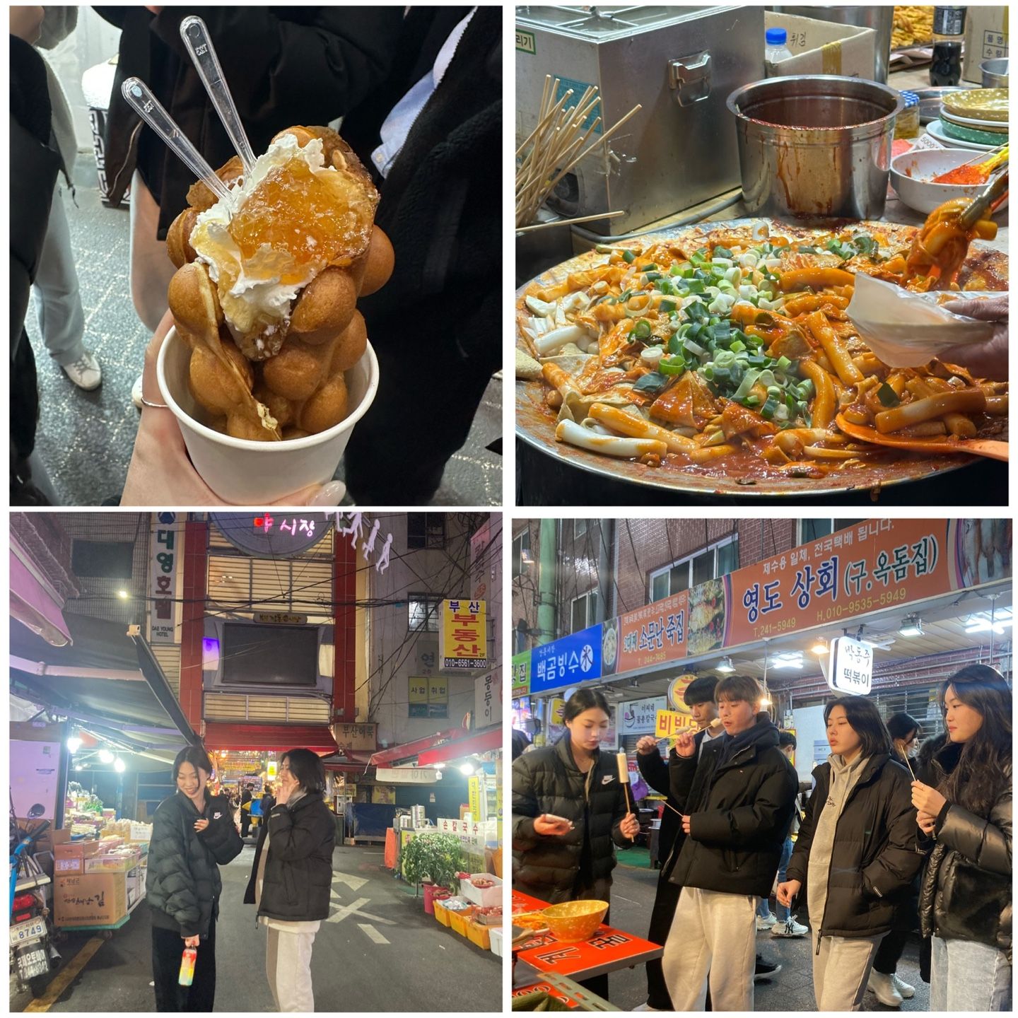 비젼트립 여행기