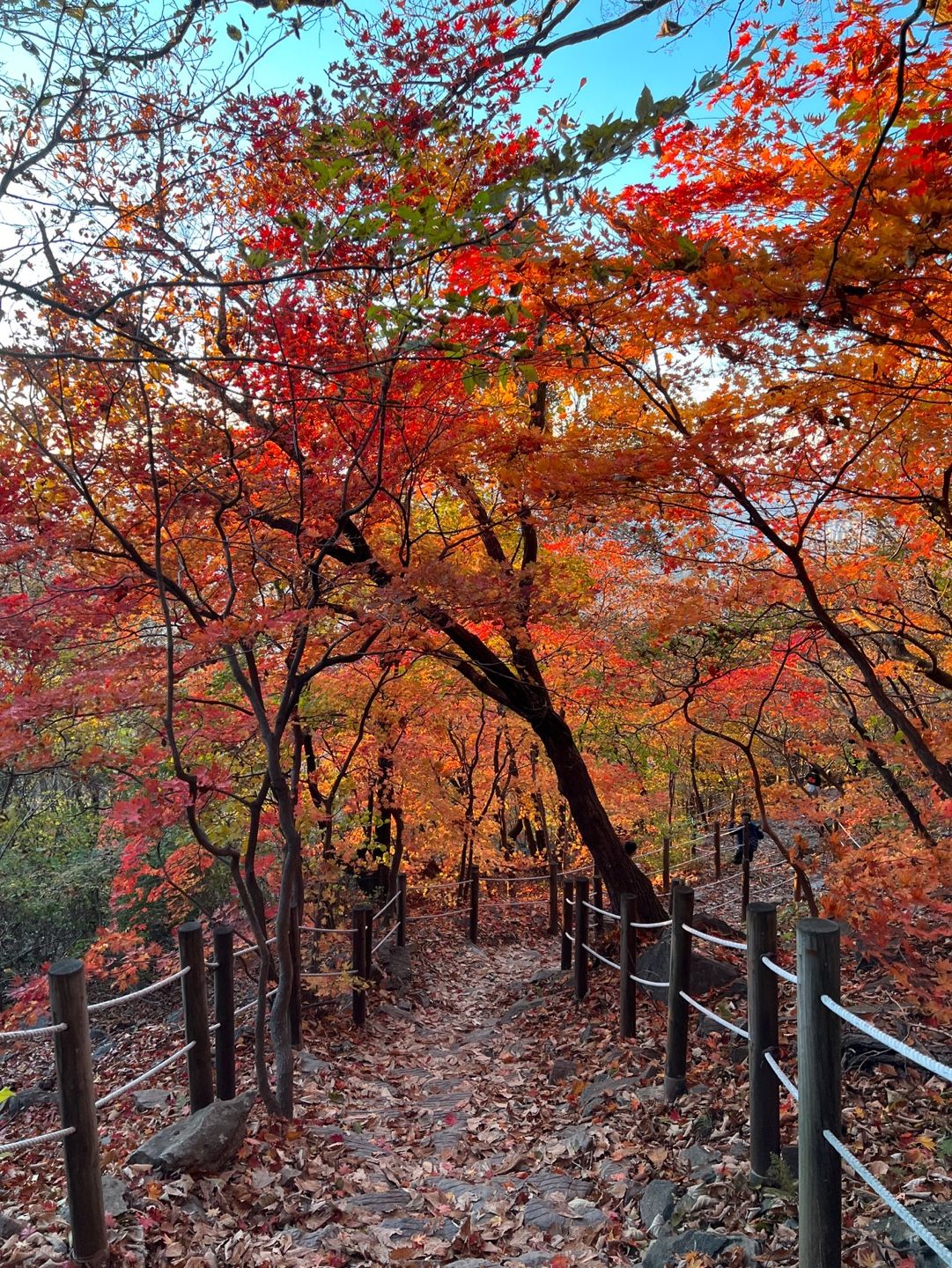 담당자가 깜빡하고 이제 올리는 맛동산 산행 6번째 이야기