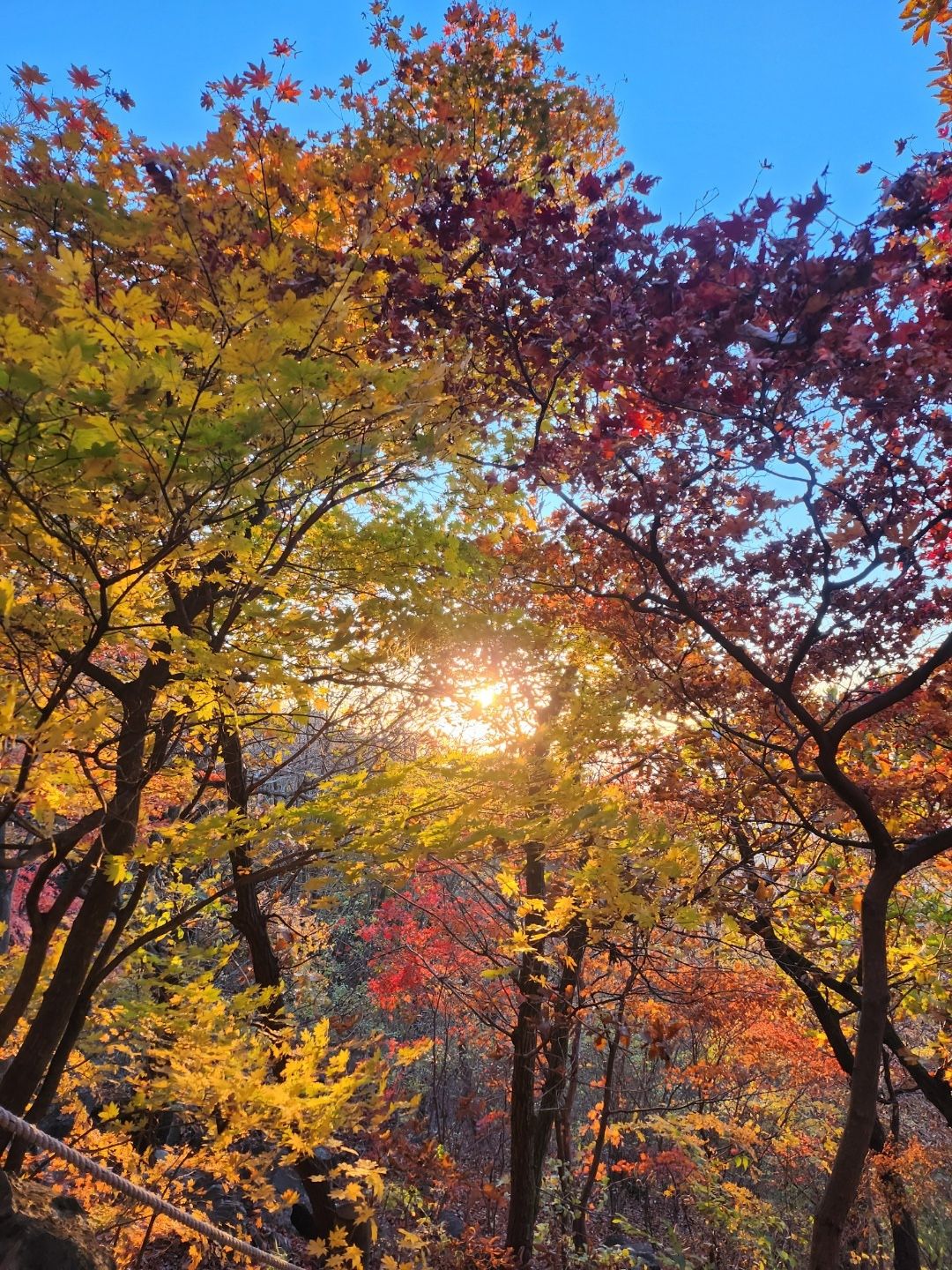 담당자가 깜빡하고 이제 올리는 맛동산 산행 6번째 이야기